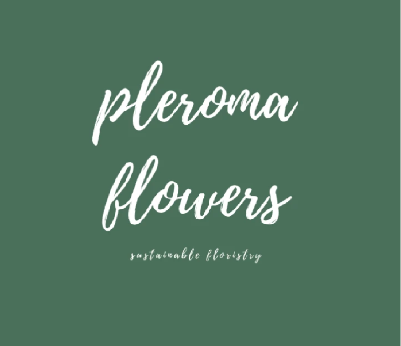 Pleroma Flowers