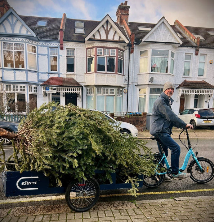Christmas Tree Collection for Recycling