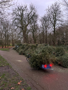 Christmas Tree Collection for Recycling